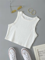 Casual Basic Ribbed Knit Crop Top